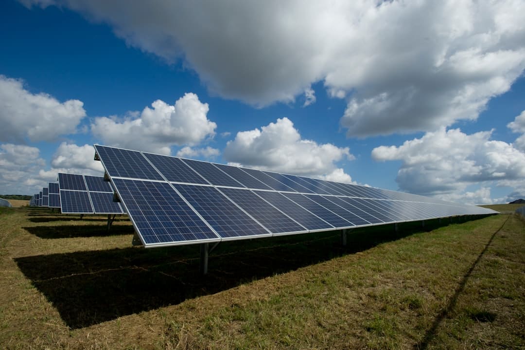Power Purchase Agreements and Beyond: What NOA’s Success Means for Sustainable Energy Investments